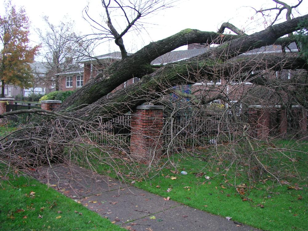 Disaster Operations 14